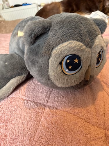 A Familiar Friend