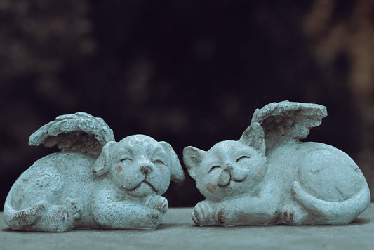 Stone cat and dog with wings add whimsical charm to any garden decor.