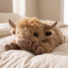 Highland Cow