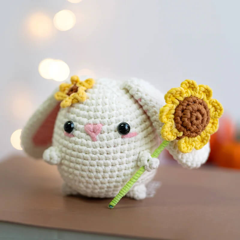 MeWaii® Crochet Kit For Beginners with Easy Peasy Yarn