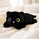 Black Cat