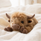 Highland Cow