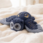 Blue Owl